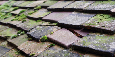 Huntingdon roof repair costs